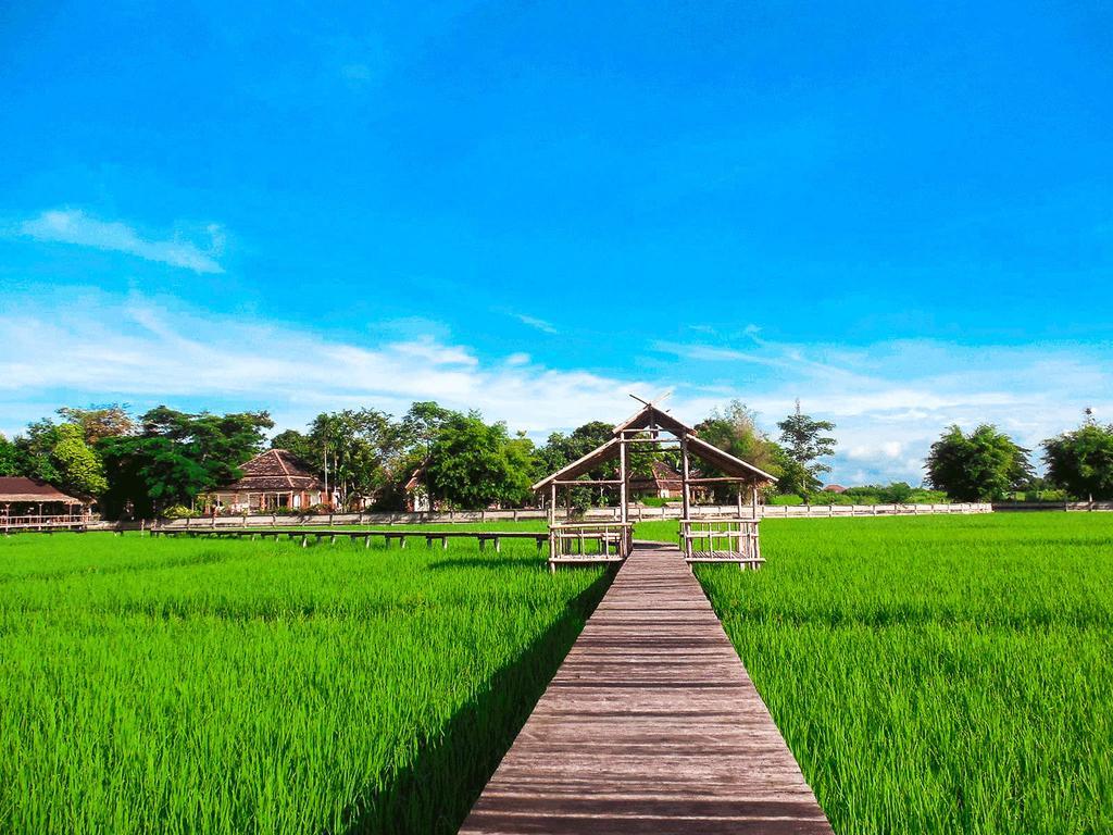 Palm Spa Village Resort Mae Rim Exteriör bild